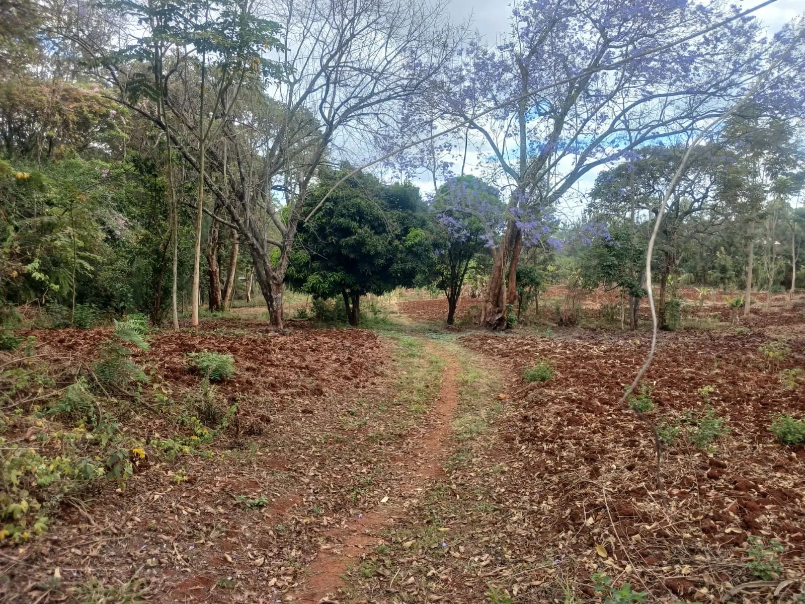 2.5 acres, Ridgeways, 100 meters from Kiambu Road